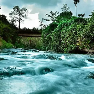 rivertree-munnar.hotels-munnar.com/